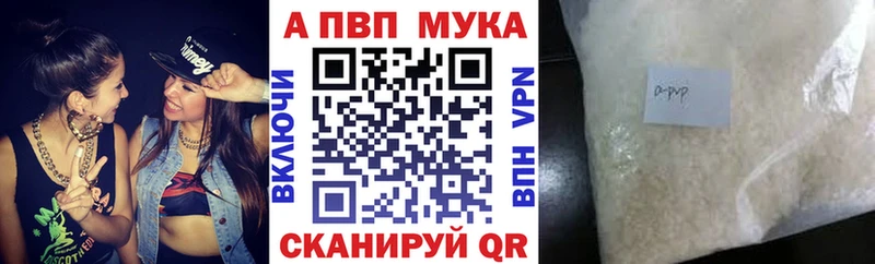 Альфа ПВП СК Туапсе