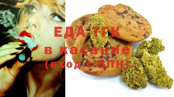 твердый Новозыбков