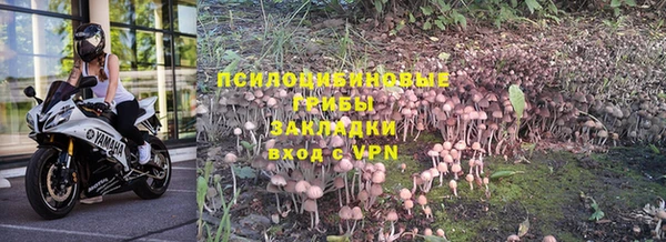 каннабис Алзамай