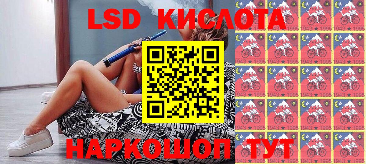 Псилоцибиновые грибы Туапсе