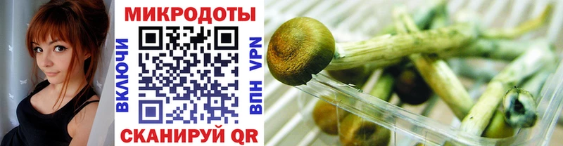 Галлюциногенные грибы Psilocybe  Туапсе 