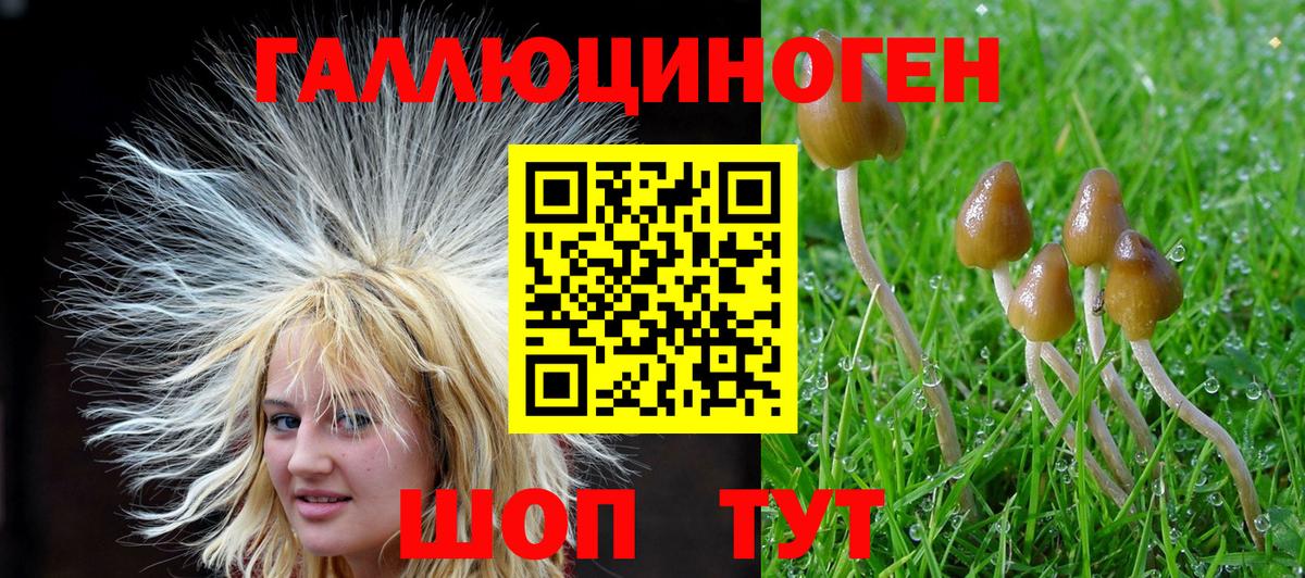 Галлюциногенные грибы мицелий Туапсе